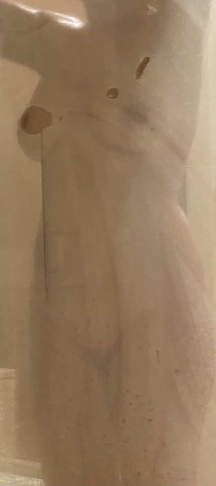 halo…! - Seashells