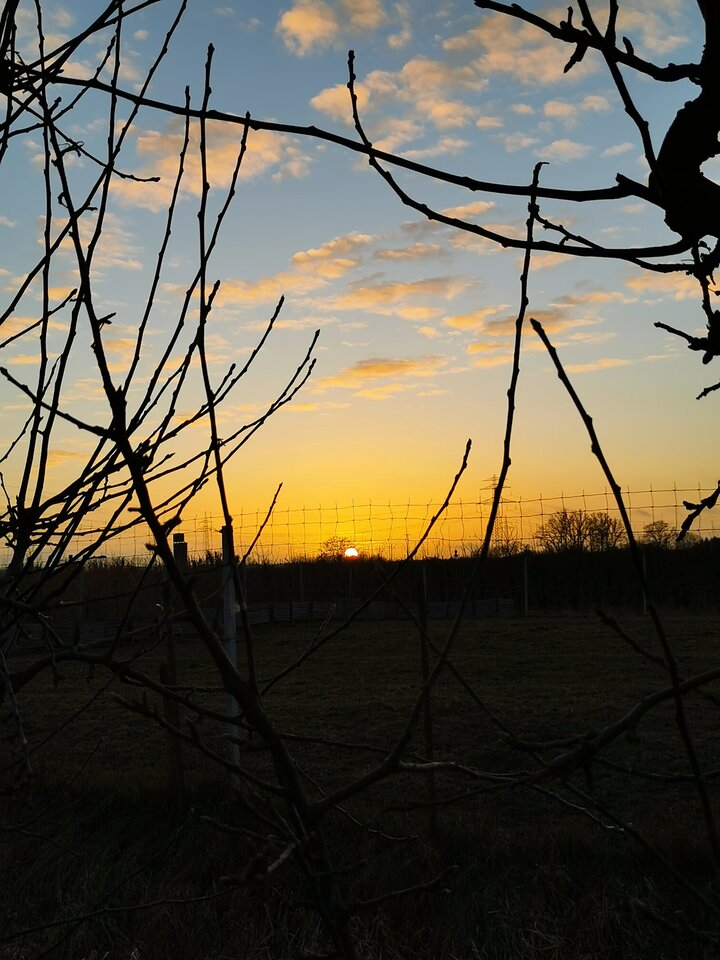 IMG_20210226_174526.jpg - adam1508