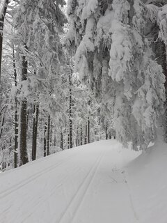 20210213_124746.jpg