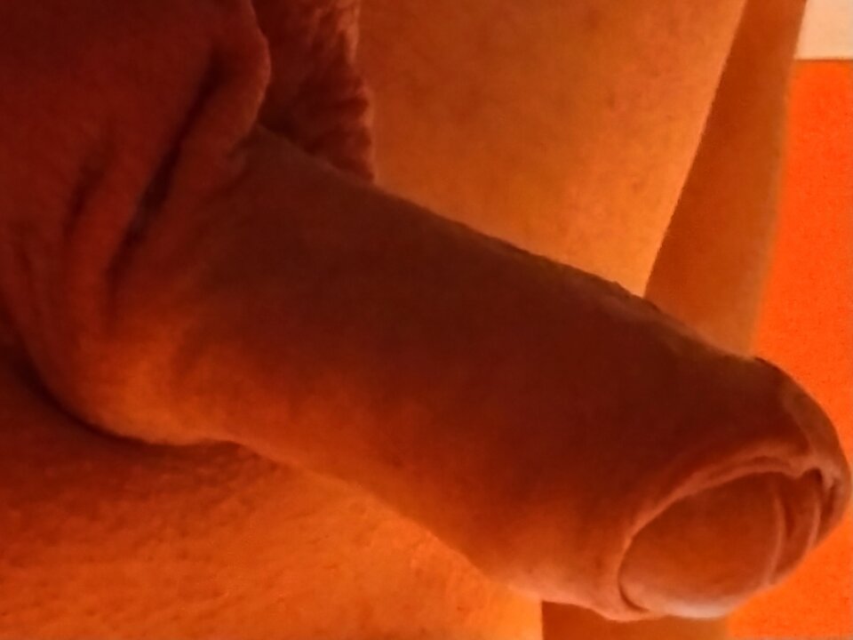 IMG_20210303_144643682.jpg - Ogier2568