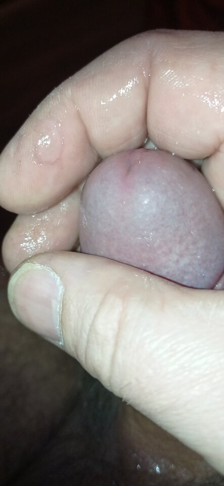 16148041482814320898683618884096.jpg - dupekalex