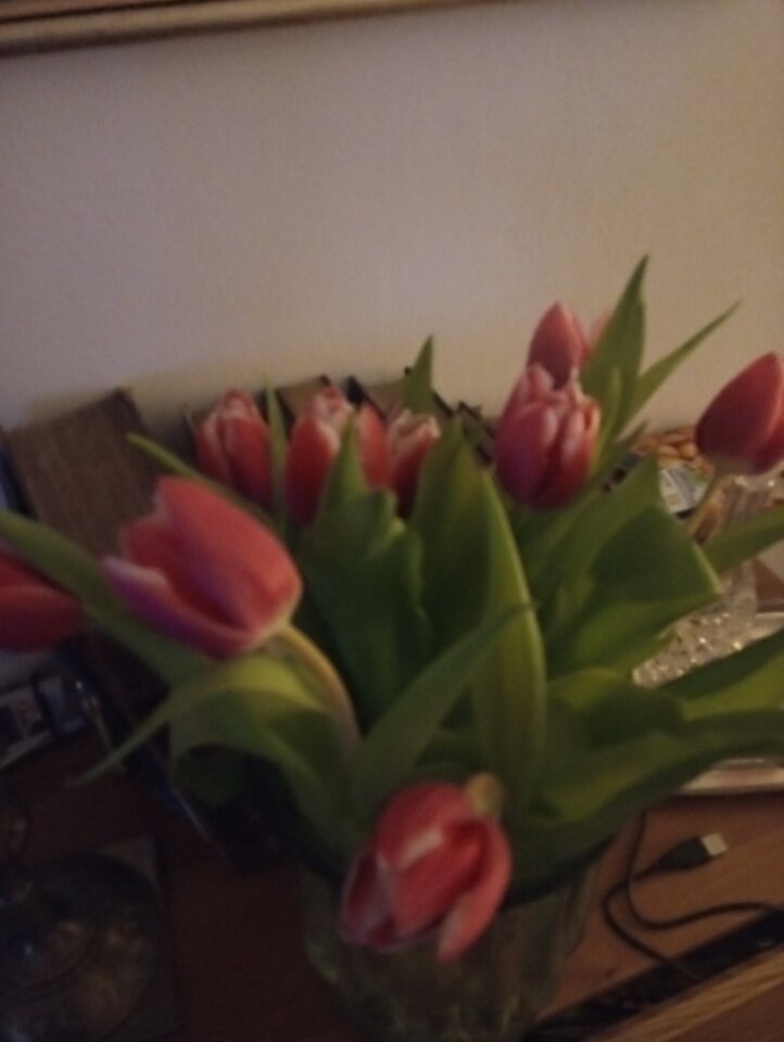 20210219_203946.jpg - ParaNor