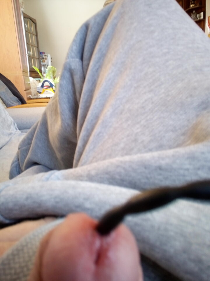 IMG_20210304_143309.jpg - tomawski1