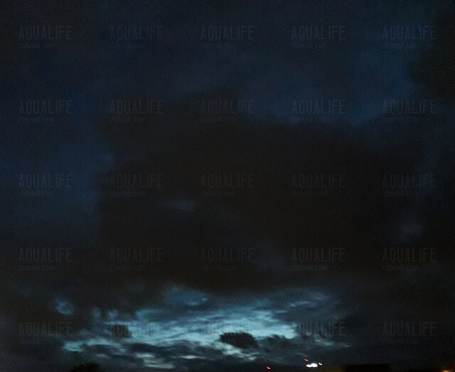 Aqualife