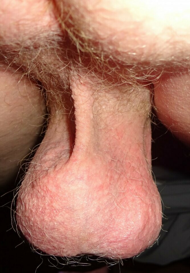 Polish_20210305_170455855.jpg - Tomek698107