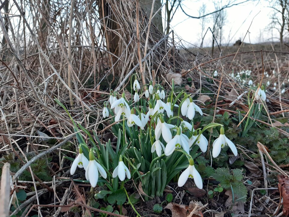 20210303_172114.jpg - torii99
