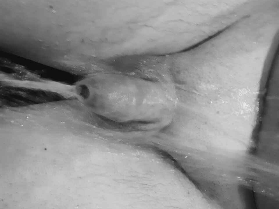 20210306_142440.jpg - dino8