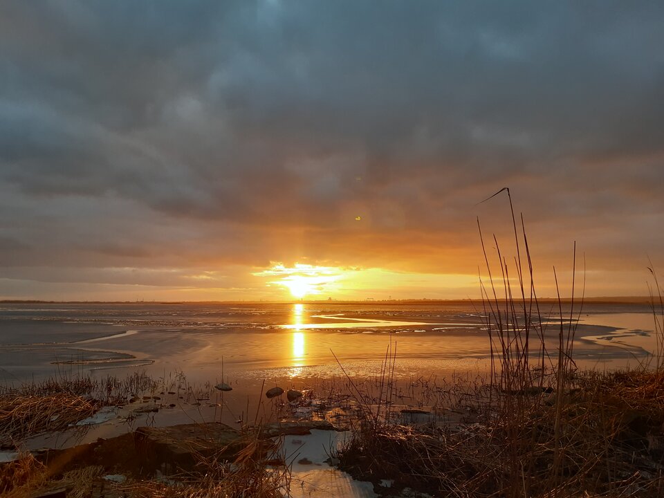 20210226_171627.jpg - torii99