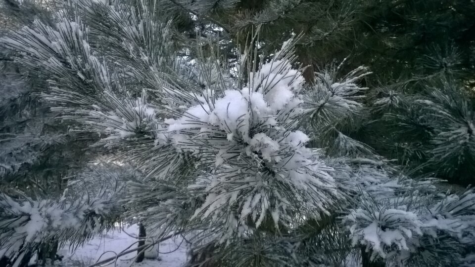Zima jak zima - Ratl