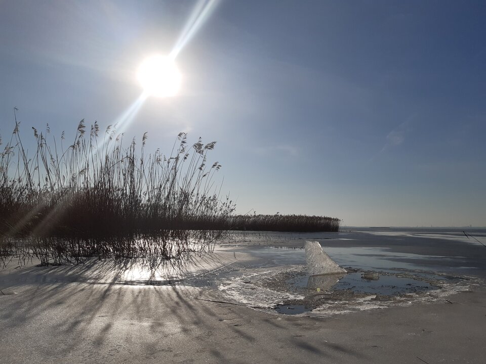 20210221_140810.jpg - torii99