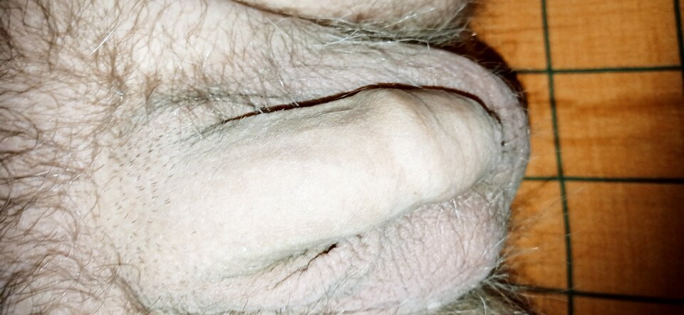 16150705139848224235260303748739.jpg - dupekalex