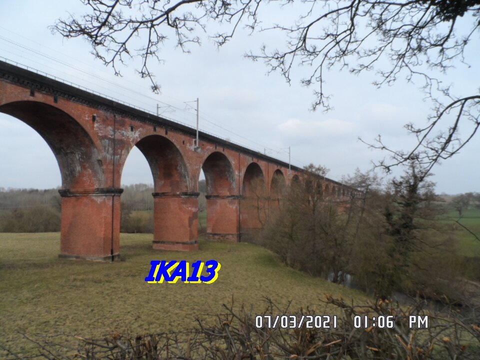 SAM_3203.JPG - ika13