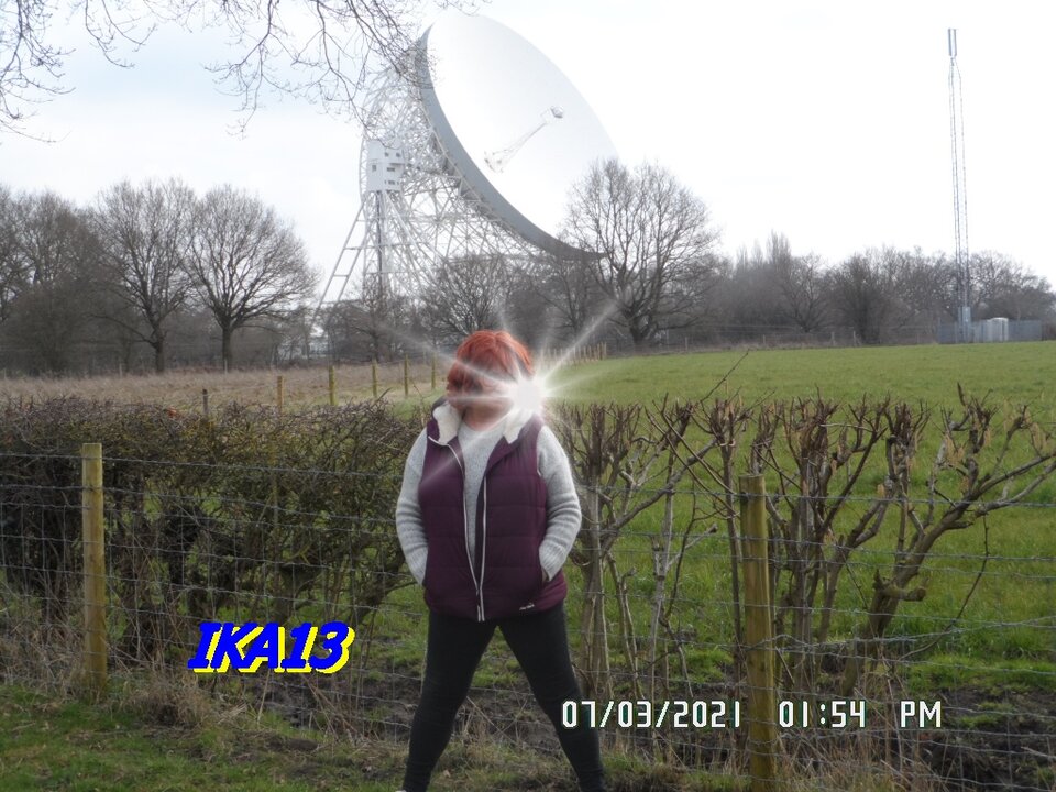 SAM_3207.JPG - ika13
