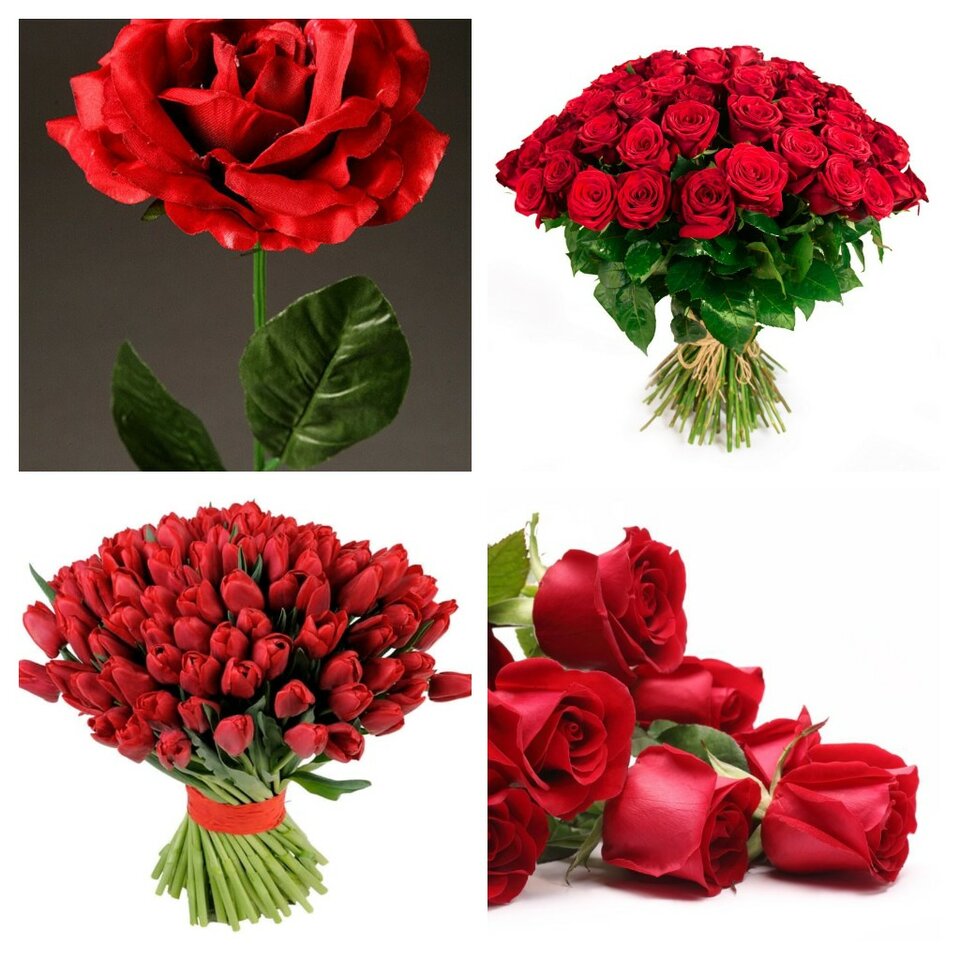 20210308_051613-COLLAGE.jpg - Olek_51