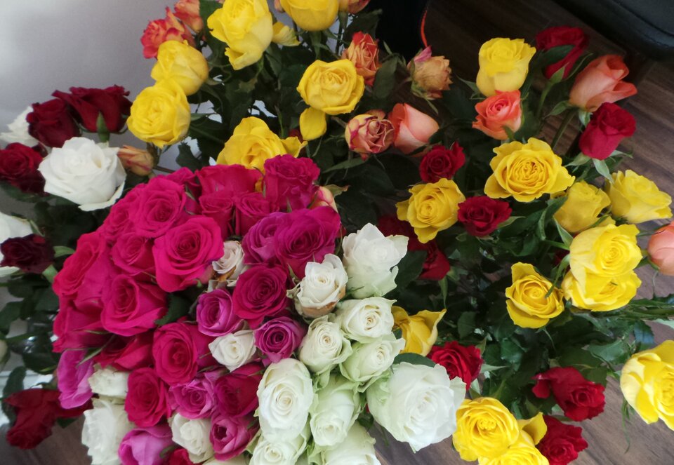 20210308_113558.jpg - sexypara20