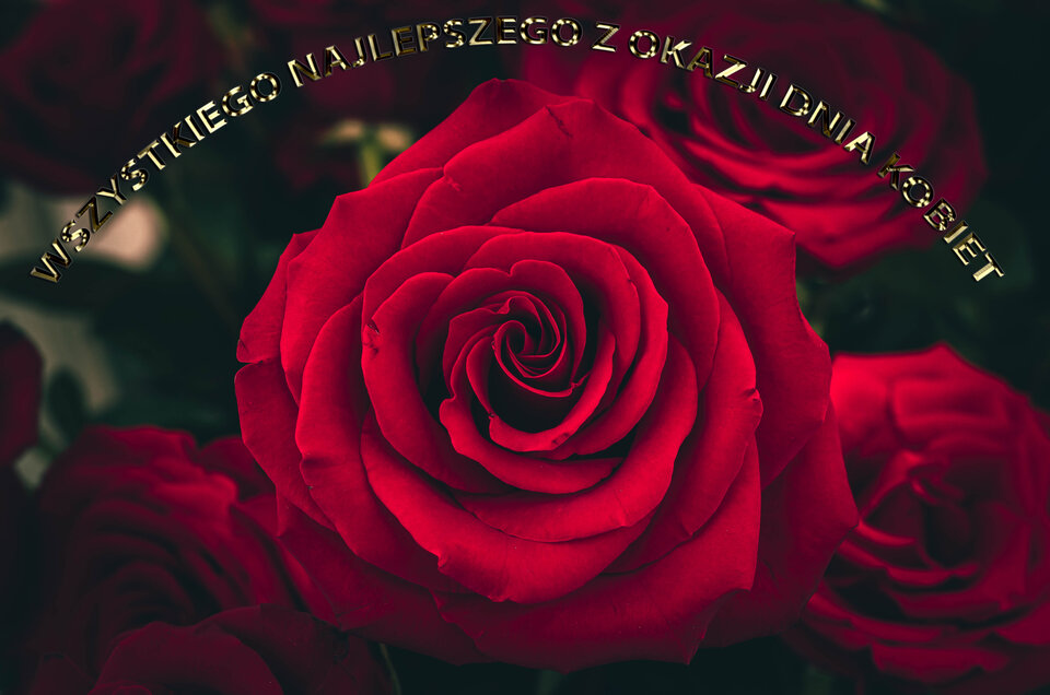 Z najlepszymi życzeniami :)  - mystic