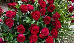 Wszystkiego najlepszego dziewczyny z okazji Dnia Kobiet :)