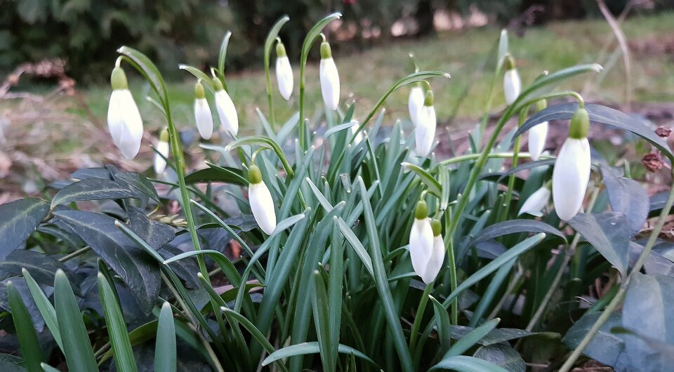 20210309_173427.jpg - bizetka