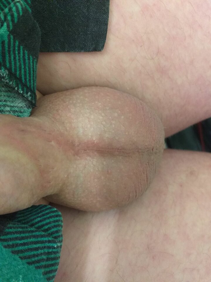 IMG_20210309_130445097_20210309_130452399_20210309_194252889.jpg - robercu