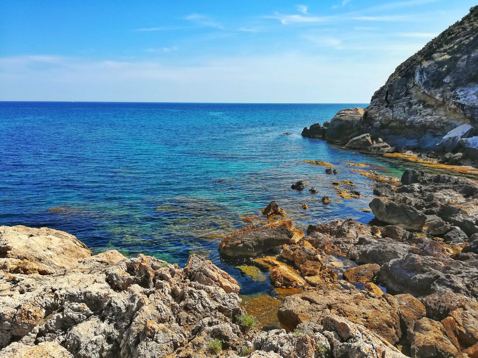 Czasem chce się uciec gdzieś z powrotem... - tozcok