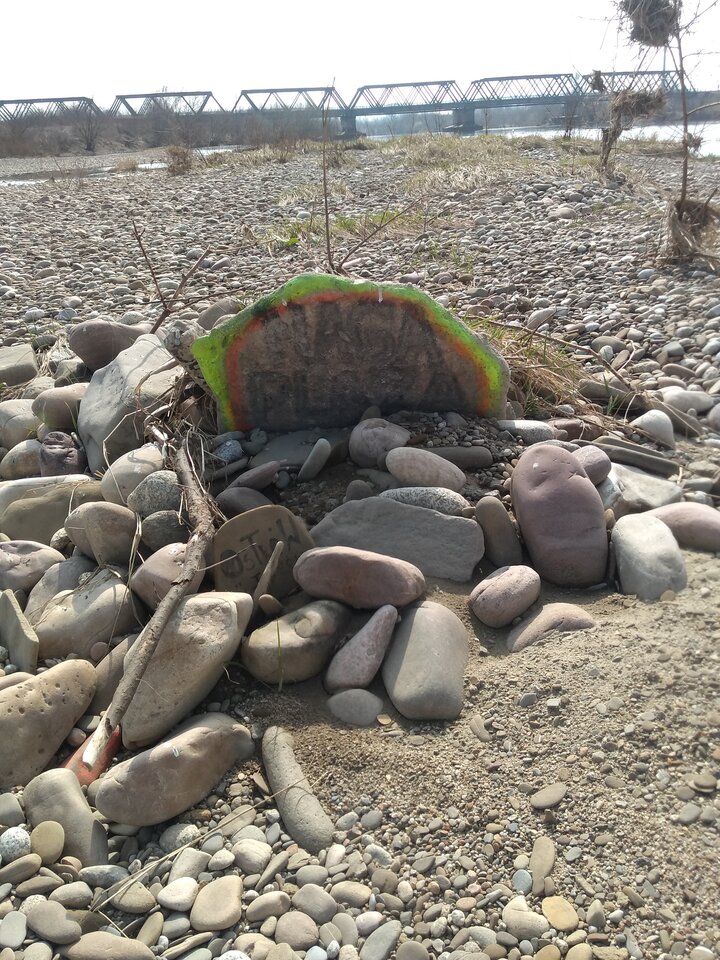 IMG_20210331_130912460.jpg - amfeti35