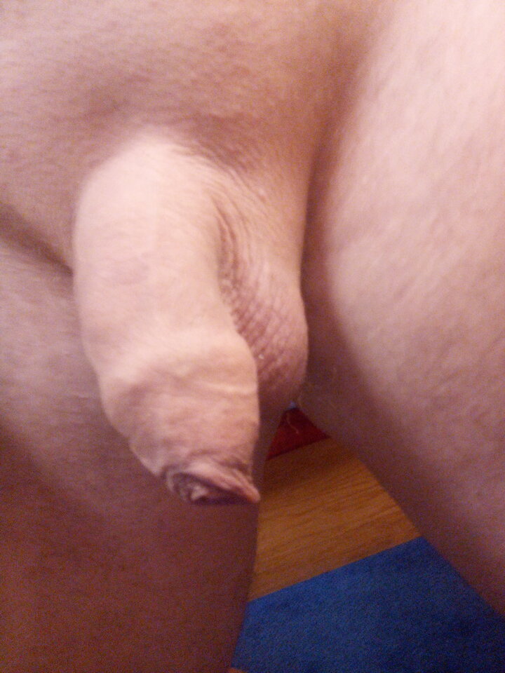 IMG_20210324_133642.jpg - Spark33