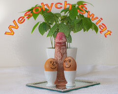 Wesołych świąt 😉