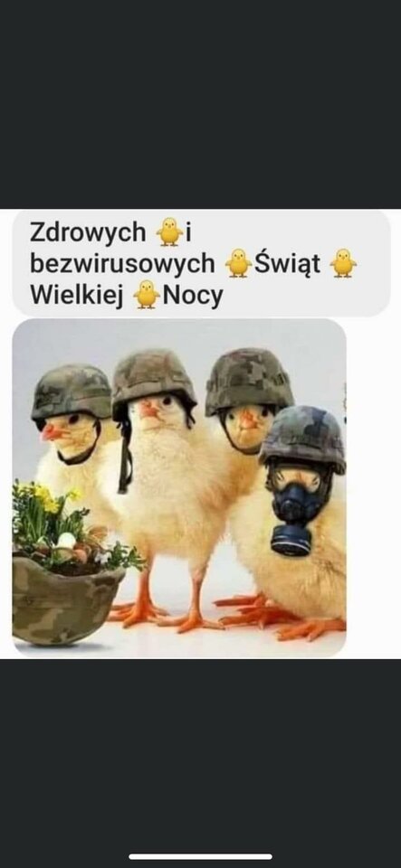 IMG-20210403-WA0007.jpg - Jack061