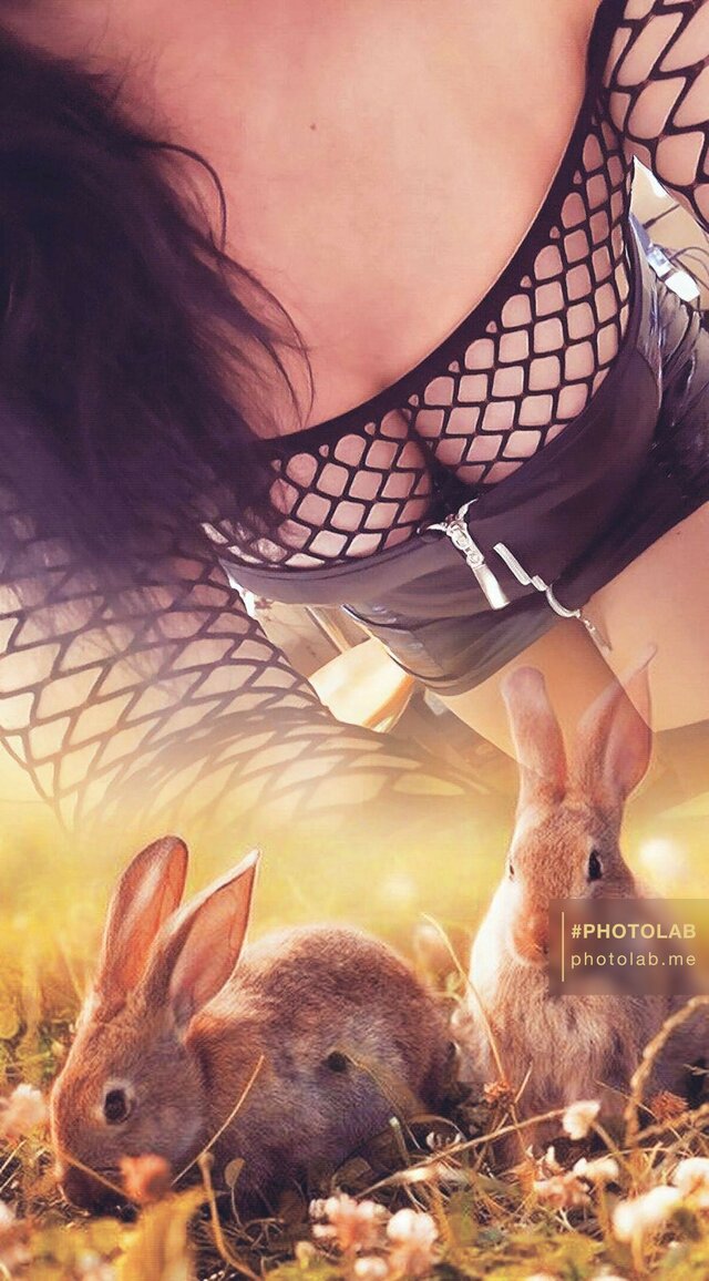 ksiezniczka_ciemnosci