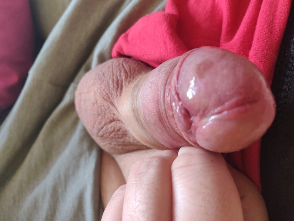 MAŁY WARIAT - fajnykutasek25