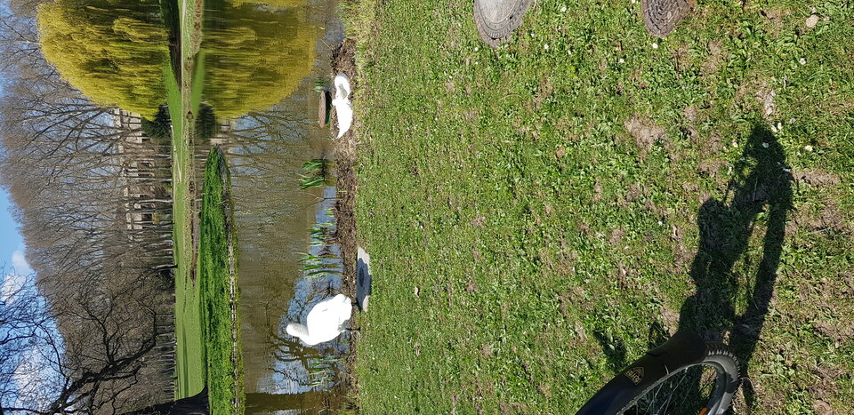 image-c96a508e-66ec-4204-8521-61eb4af97ff2.jpg - marecki2803