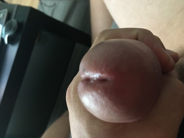 FA5576D0-9295-4FB7-8D90-CF0E2E47910B.jpeg - why_no