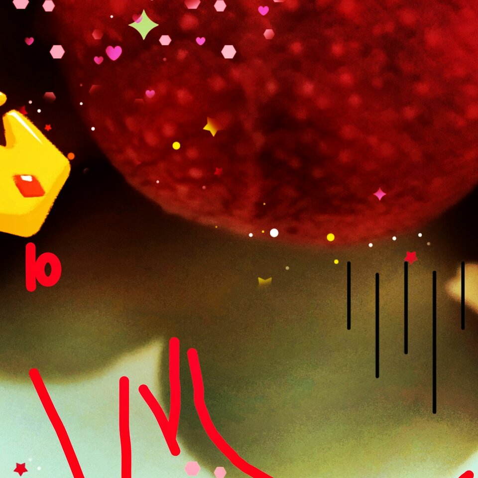 IMG_20210404_122833_978.jpg - Hjk18