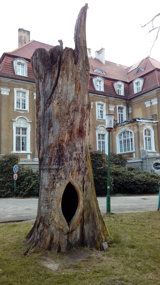 20210404_180249.jpg - jak2109