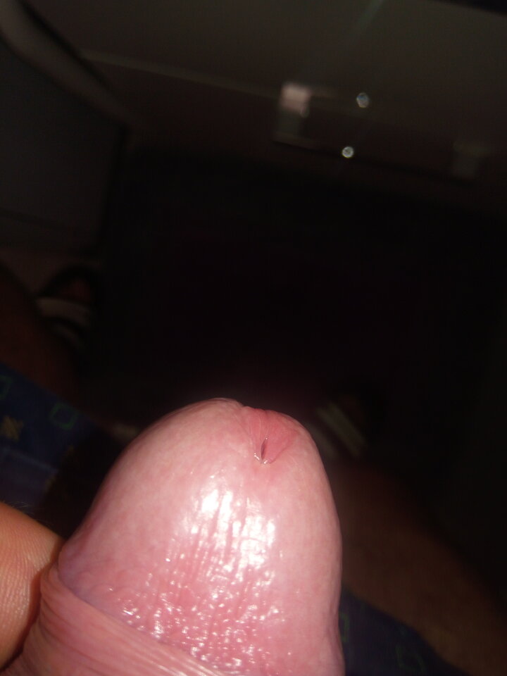 1617563279685772415439.jpg - szaa_lony