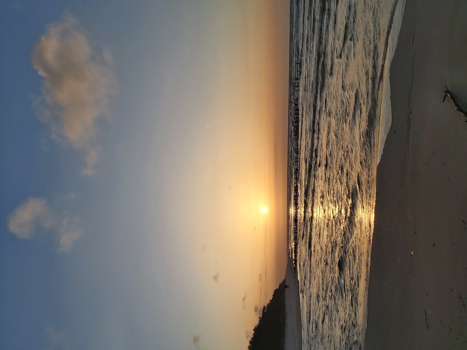 20210404_190135.jpg - myrze9088