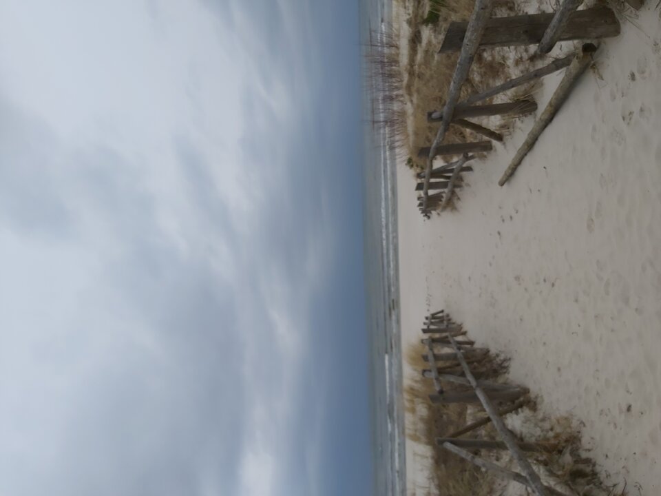 20210405_080528.jpg - myrze9088