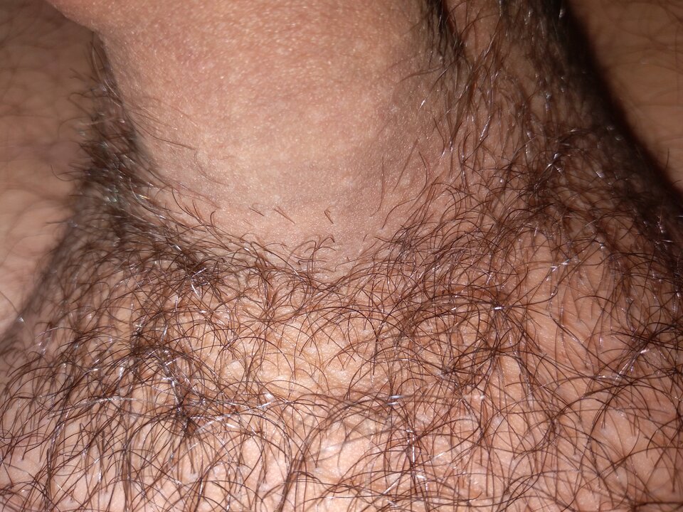 20210405_101600.jpg - blackcook