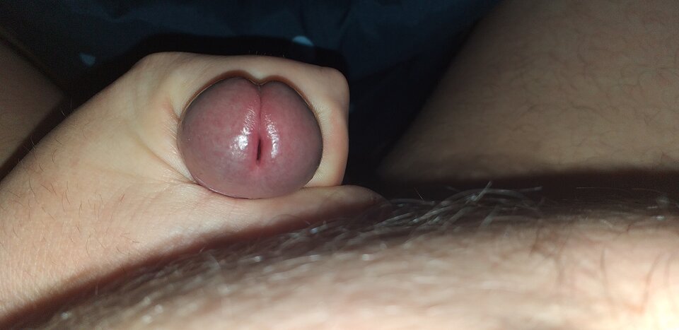 20210405_104042.jpg - robercu