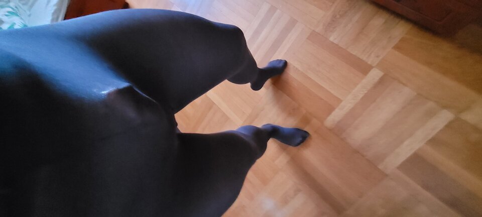 20210313_075125.jpg - pantyhoseloverwroc