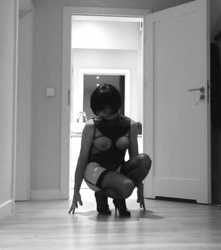 888888.jpg - ElaElts