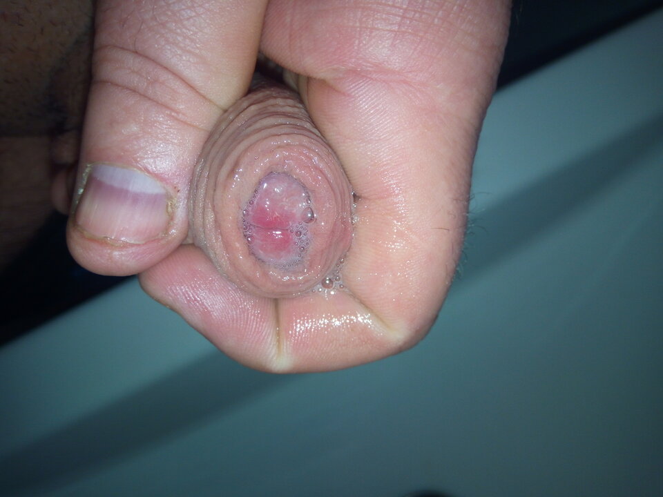 1617892371668704643352.jpg - szaa_lony