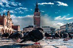 Po wiosennej śnieżycy.