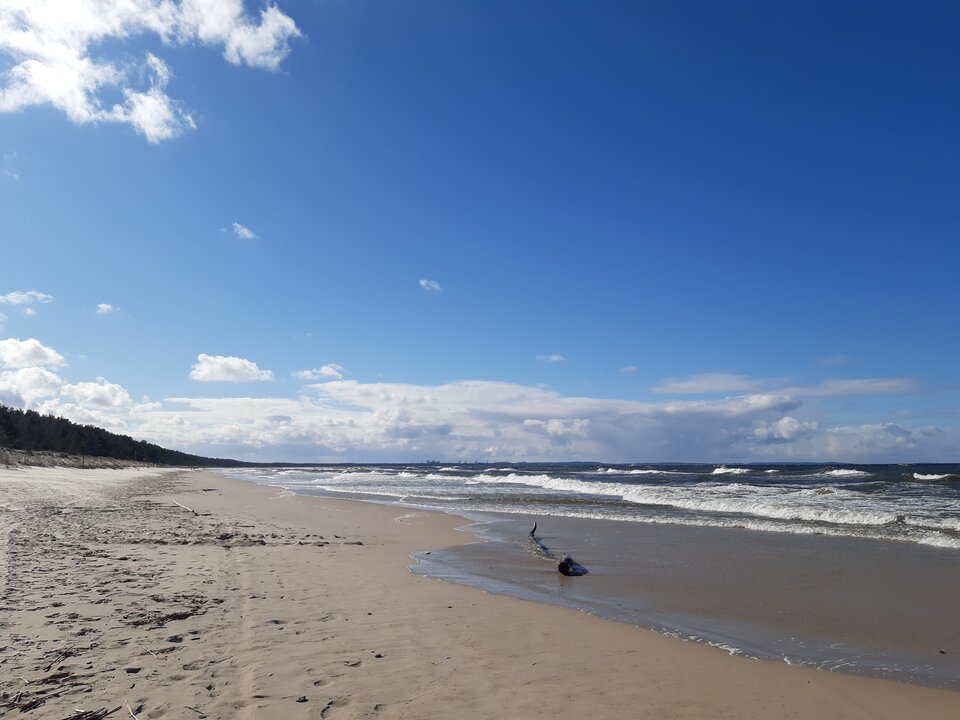 20210319_135408.jpg - torii99