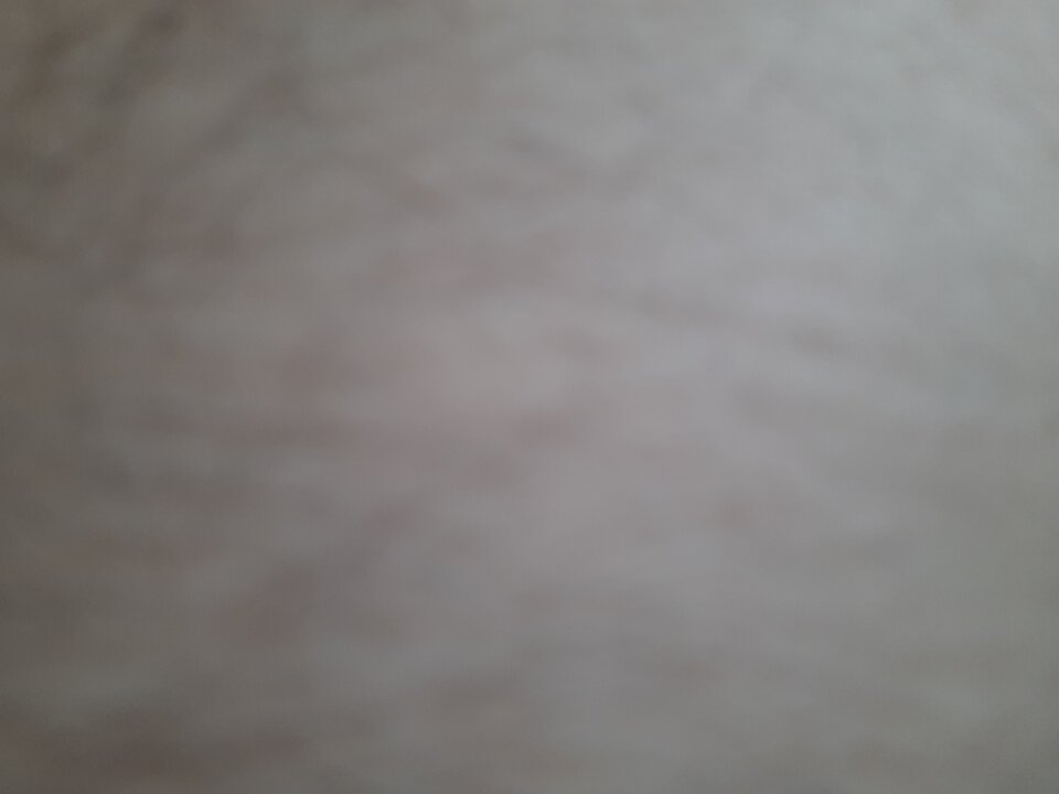 20210411_164026.jpg - greg5055