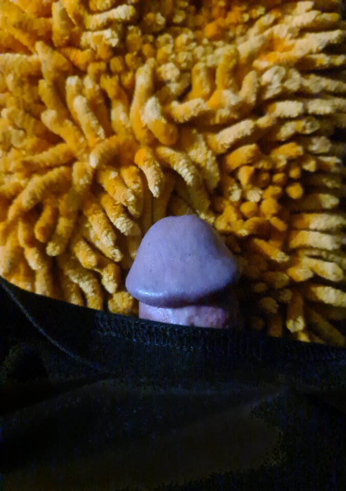 20210411_234229.jpg - LoudDevil