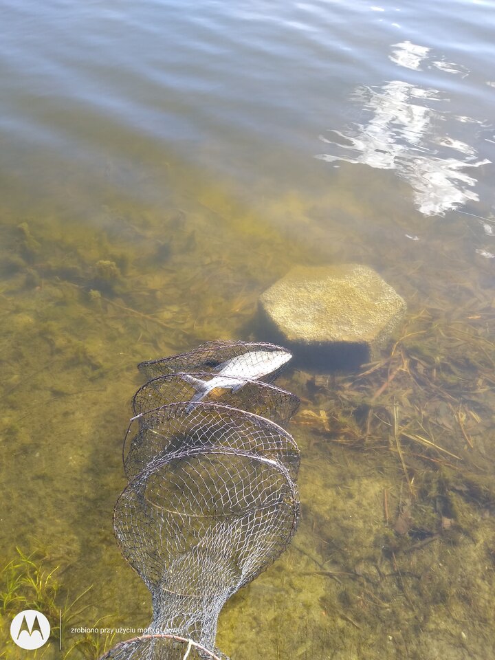 IMG_20210408_152531982.jpg - rafi07