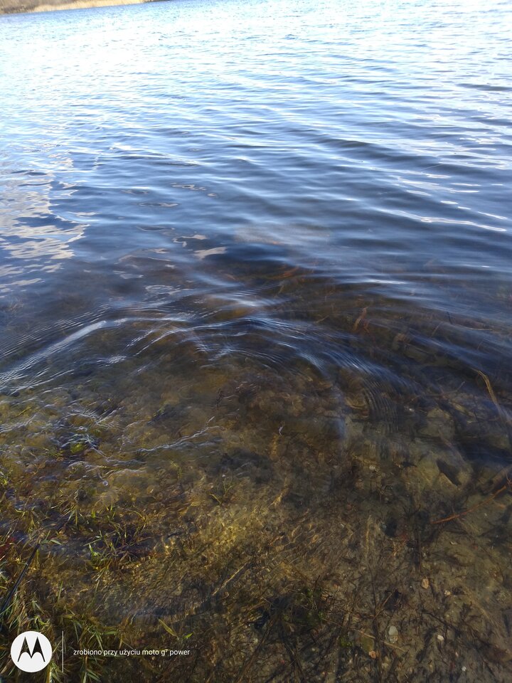 IMG_20210408_170009862.jpg - rafi07