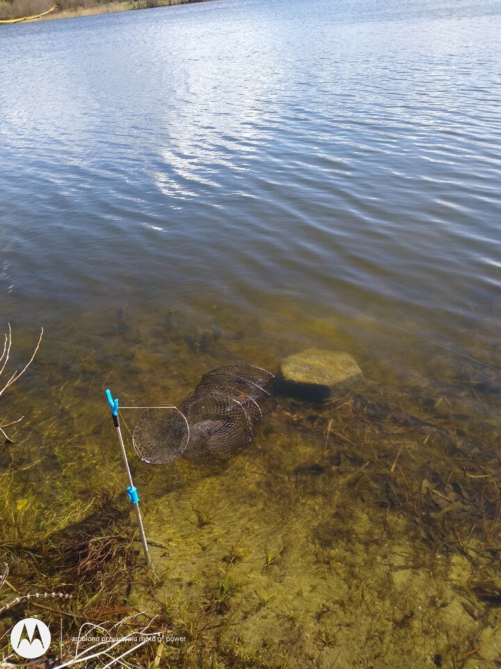 IMG_20210408_152337906.jpg - rafi07