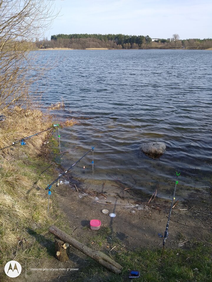 IMG_20210411_161452879.jpg - rafi07